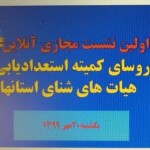 نشست روسای کمیته استعدادیابی هیات‌های شنا استانی امروز (یکشنبه) بصورت مجازی و آنلاین برگزار شد.