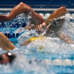 فدراسیون شنا، آيين نامه مسابقات قهرماني شناي مسافت كوتاه رده سني بالاي 15 سال در بخش آقايان گراميداشت "جام قهرماني ولايت" را اعلام کرد.