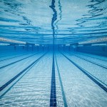 نمرات کلاس مربیگری درجه3 شنا بانوان به مدرسی مینو موسوی اعلام شد.