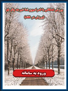 راه اندازی سامانه همگانی فدراسیون شنا شیرجه واترپلوی جمهوری اسلامی ایران